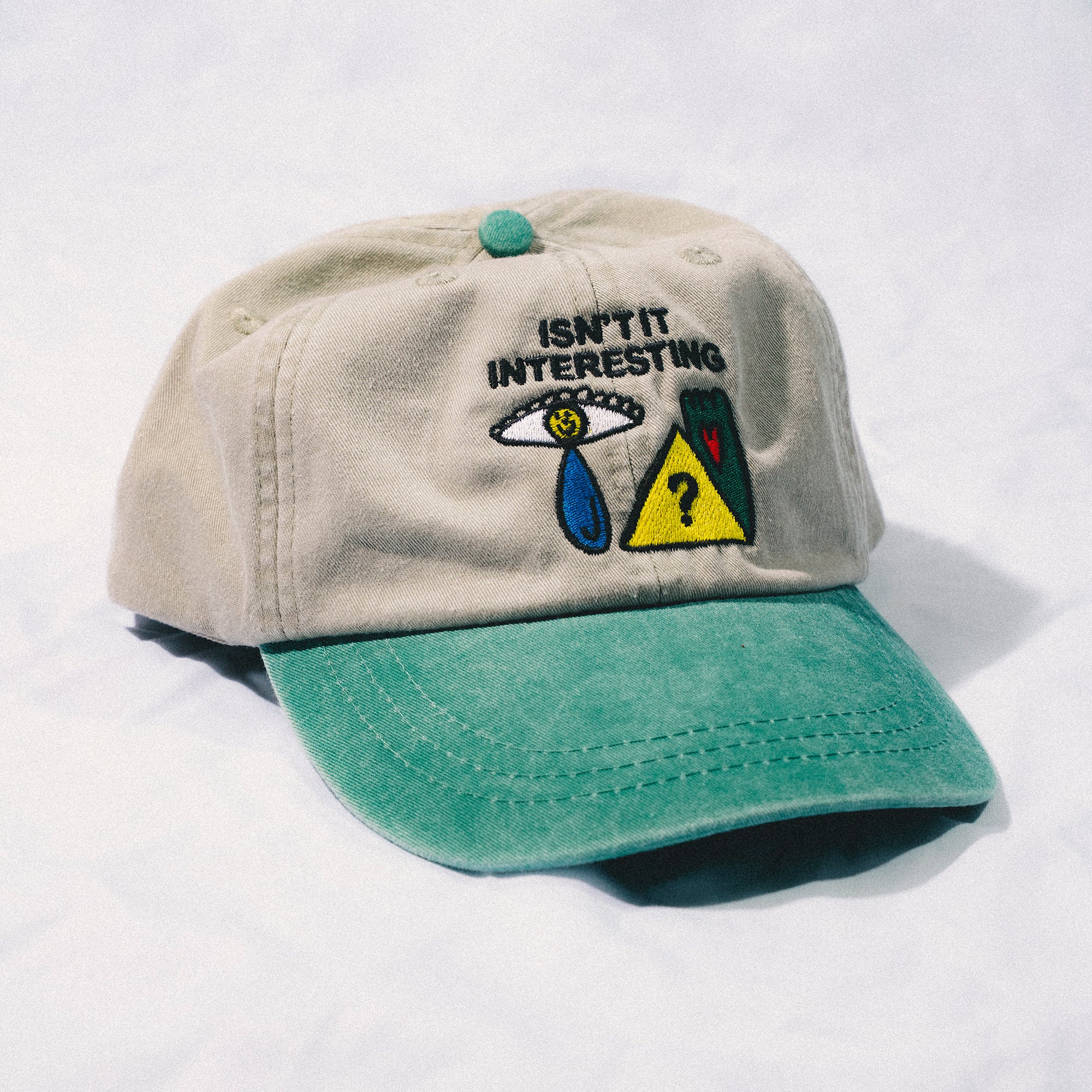 PREORDER | Isn't It Interesting Embroidered Hat